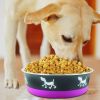 Stainless Steel Pet Bowl with Anti Skid Rubber Base and Dog Design, Gray and Pink-Set of 4