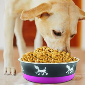 Stainless Steel Pet Bowl with Anti Skid Rubber Base and Dog Design, Gray and Pink-Set of 4