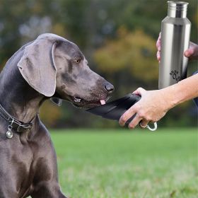 Plastic Fin Cap Pet Travel Water Bottle in Stainless Steel, Large, Silver and Black-Set of 2
