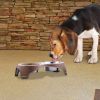 Plastic Framed Double Diner Pet Bowl in Stainless Steel, Small, Gold and Silver-Set of 2