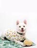 DOG SHIRT (m) - Cute  Dog Clothes for Small Medium Large Dogs Cats Birthday Party and Holiday Photos