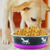 Stainless Steel Pet Bowl with Anti Skid Rubber Base and Dog Design, Large, Gray and Pink-Set of 2