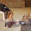 Plastic Framed Double Diner Pet Bowl in Stainless Steel, Large, Gold and Silver-Set of 2