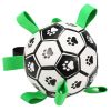 DADYPET Dog Soccer Ball with Grab Tabs Interactive Dog Toy with Ball Pump 6Inch Durable Dog Toy for Small Medium Dogs