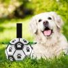 DADYPET Dog Soccer Ball with Grab Tabs Interactive Dog Toy with Ball Pump 6Inch Durable Dog Toy for Small Medium Dogs