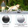 DADYPET Dog Soccer Ball with Grab Tabs Interactive Dog Toy with Ball Pump 6Inch Durable Dog Toy for Small Medium Dogs