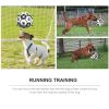 DADYPET Dog Soccer Ball with Grab Tabs Interactive Dog Toy with Ball Pump 6Inch Durable Dog Toy for Small Medium Dogs