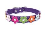 flower pet dog collar