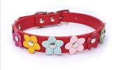 flower pet dog collar