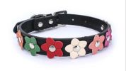 flower pet dog collar