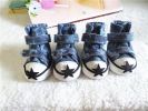 Wholesale pet dog shoes star casual puppy boots