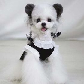 Fashion Bow Knot Dog Vest (Color: Black, size: XL)