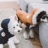 Touchdog Â® 'Eskimo-Swag' Duck-Down Parka Dog Coat