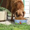 Multi Print Stainless Steel Dog Bowl By Boomer N Chaser-Set of 4