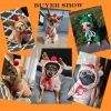Dog Winter Warm Clothes Cute Plush Coat Hoodies Pet Costume Jacket For Puppy Cat French Bulldog Chihuahua Small Dog Clothing